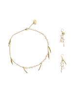 Champagne